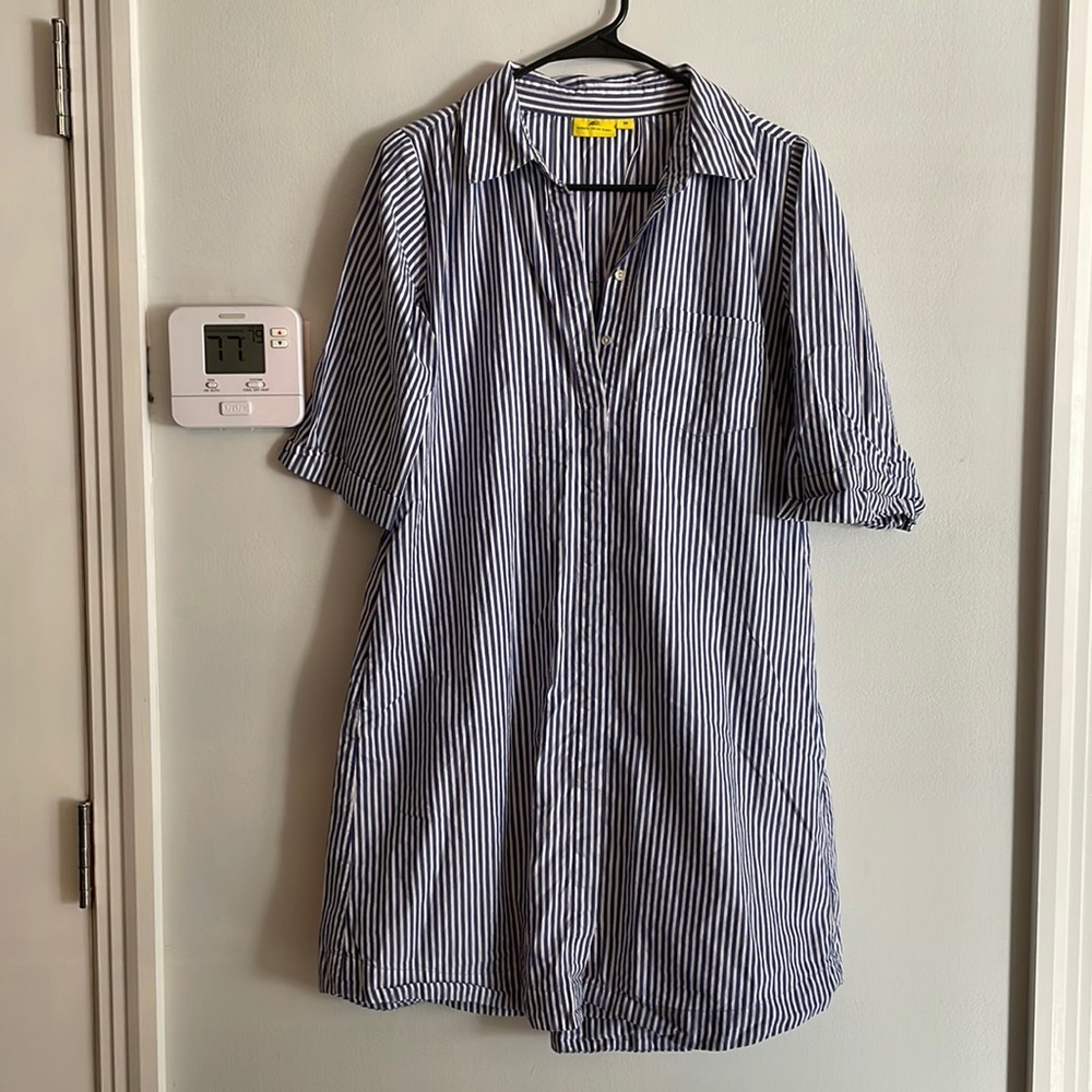 Striped Shirtdress